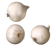 white onion