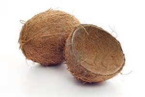 coconut shell
