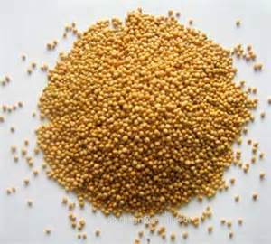Brown Mustard Seed