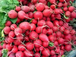 Red radish