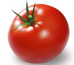 Fresh Tomato
