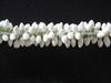 Jasmine Tied Flowers