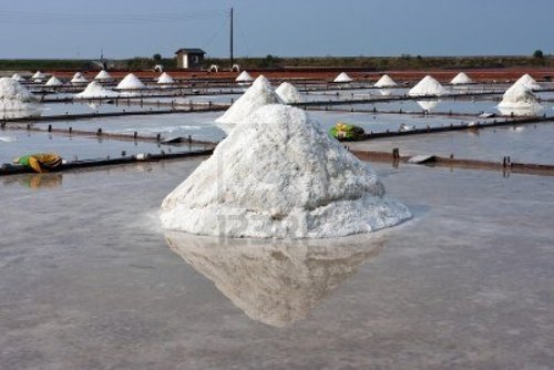Salt