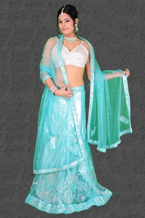 Net Lehenga Choli