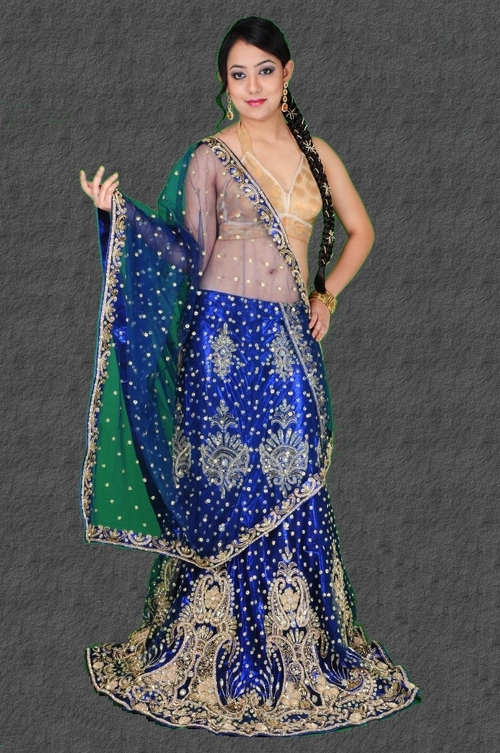 Fancy Party Lehenga
