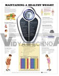 Maintaining A Healthy Weight Anatomical Chart - Paper 20"x26" Gray, Weight Management Diet Planning BMI Calculation Activity Tips