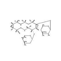ERYTHROMYCIN BASE
