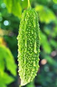 Bitter Gourd