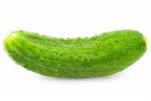 Cucumber