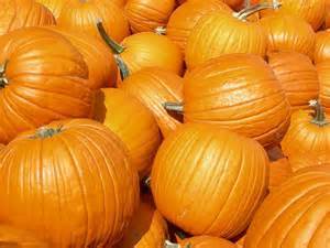Pumpkin