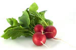 Radish