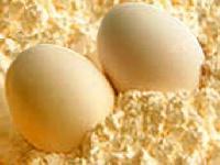 Whole Egg Powder