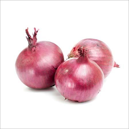 Onion