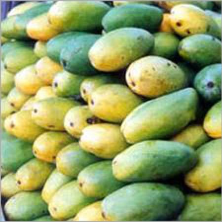 Indian Mango