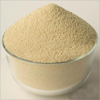 Textile Enzymes