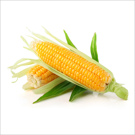 Grain Complex Enzymes