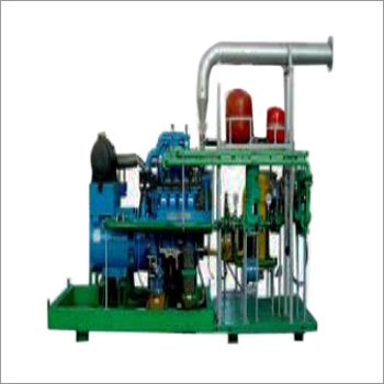 Biogas Generators