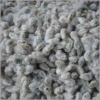 Cotton Seed