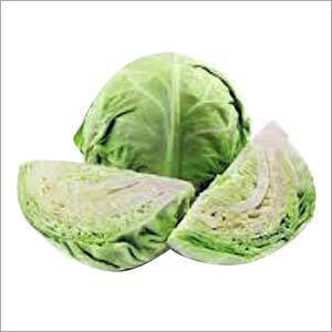 Cabbage