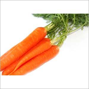 Carrot