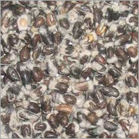 Natural Cotton Seed