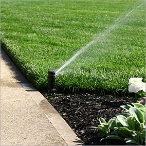 Turbo Impact Irrigation System