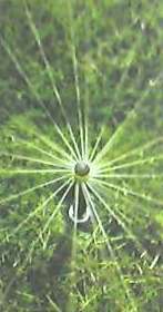 Spray head Irrigation Accessories