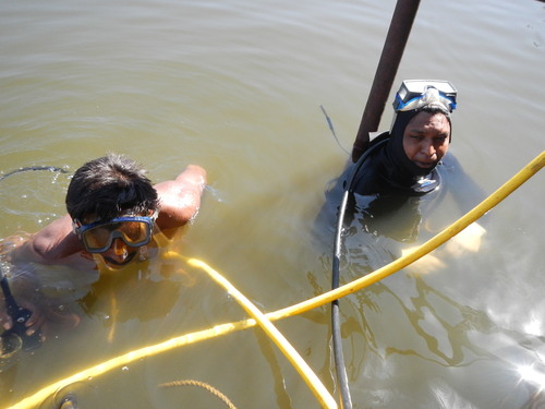 Professional Diving Services