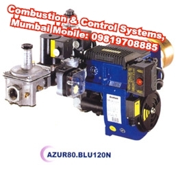 Ecoflam gas burner