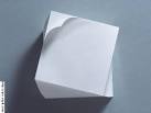 Sandwich Paper