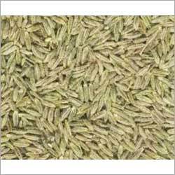 Cumin Seed