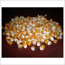 Dry Yellow Maize
