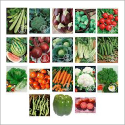 Fresh Green Vegetables