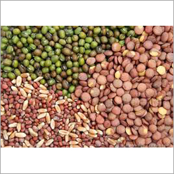 Non Hybrid Vegetable Seeds