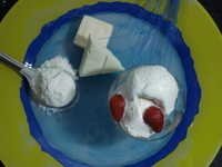 Organic Whey Protein Powder