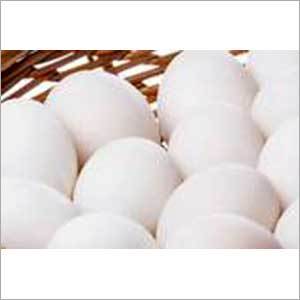 Duck Eggs(Table)