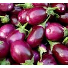 Brinjal