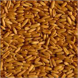 Daily Diet Complex Enzymes