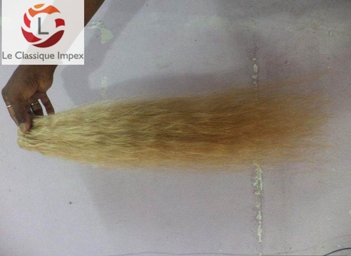 Platinum Blonde White Hair