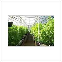 GreenHouse