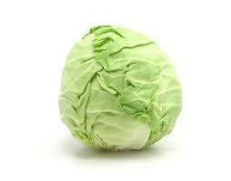Cabbage
