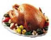 Fresh Turkey Meat