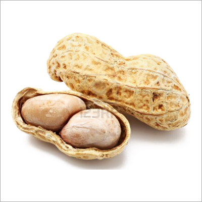 Baked Thai Peanut Ground Nut Isolated