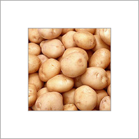 Potato Potato