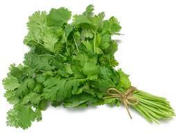 Coriander leaves