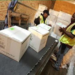 Goods Parcel Services from Bhilwara