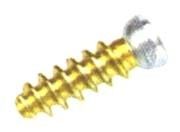 Large Diameter Screw