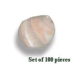 Shell Beads