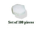 Shell Beads