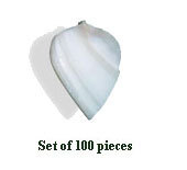 Shell Beads